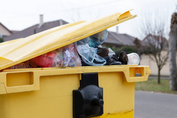 Trusted Zwolle, LA Junk Removal Experts