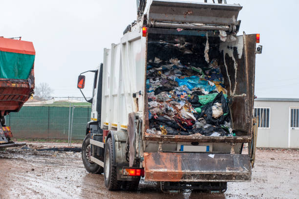 Best Yard Waste Removal  in Zwolle, LA